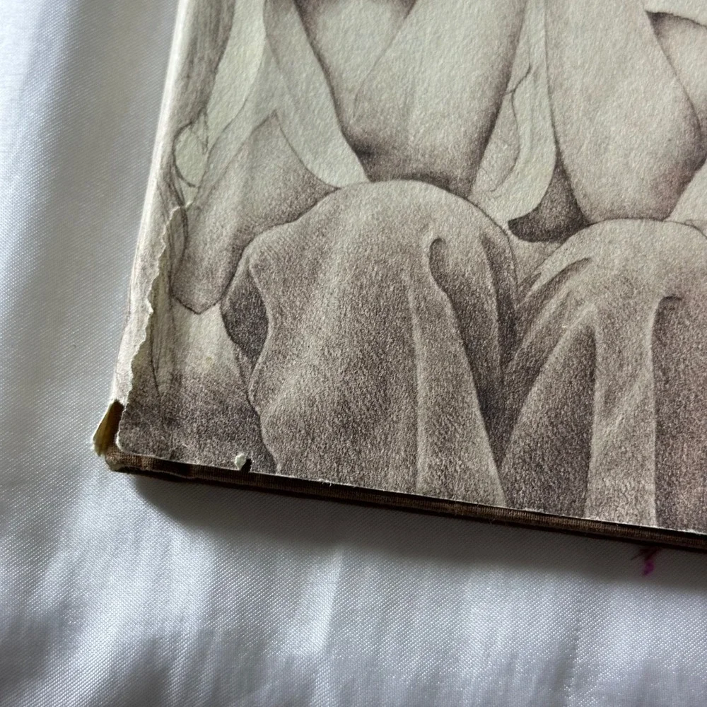 Ann Greenwood A Pack of Dreams Childrens Book Fair Vintage 1978 Hardcover Whimsy